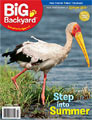 Big Backyard Magazine Cover